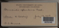 Image Associated With the Occurence